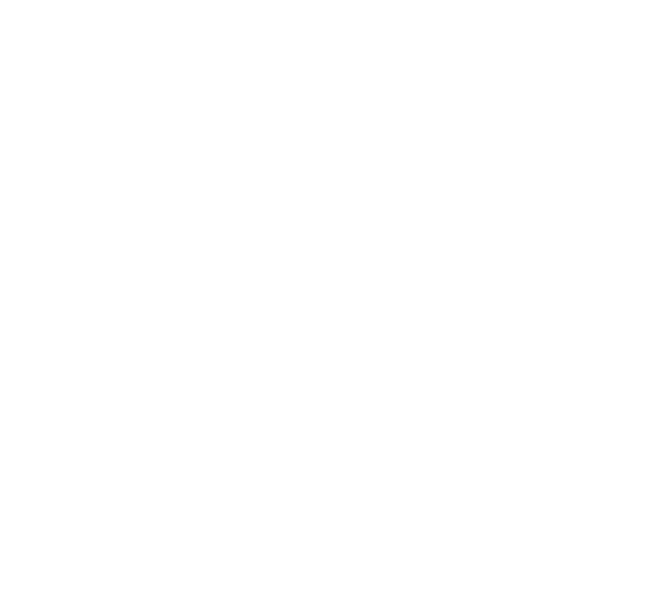 NCCU Student Congress Logo
